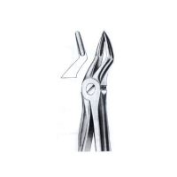  Extarcting Forceps 